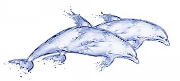 Декор DeepBlue Дельфин (DB2G051D)