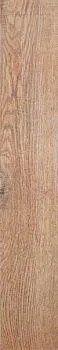 Керамогранит Woodstyle/Woodplus Walnut Matt /Ореховый мат K909264R