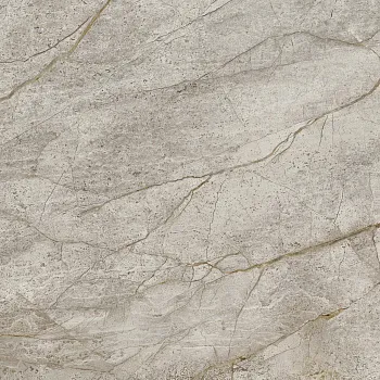 Керамогранит Empire Silver Root Lapp (610015000625) 60х60