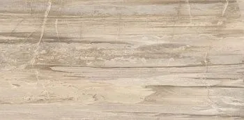 Керамогранит Petrified CORE BEIGE TIGER RETT 30