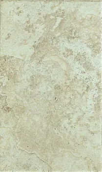 Керамогранит Instone BONE lapp