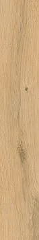 Керамогранит Grandwood Natural O-GWN-GGO014 бежевый