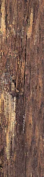 Керамогранит DADO Century 301660 Rosso rettificato (СП413Б)