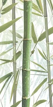 Декор Bamboo 3 DW9BMB304