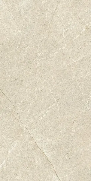 610010002349_1