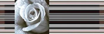 Декор Decor Rose 01