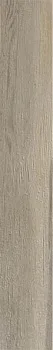 Керамогранит Maxiwood XW02L5 BETULLA AVORIO SQ