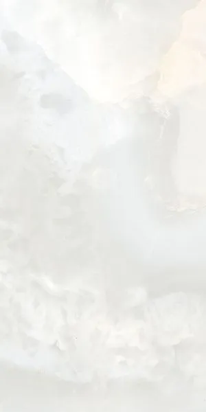 E 12121 Onix-1