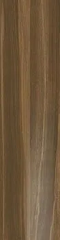 Керамогранит Aston Wood Elm Lap