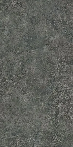 NTT9502L_01