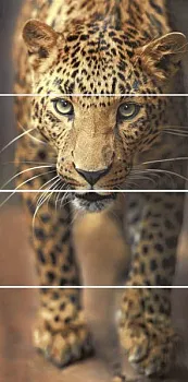 Панно Leopard S/4 SW9LEO21