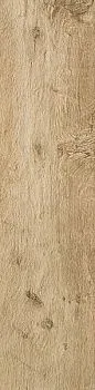 Керамогранит Axi Golden Oak (AS3C)