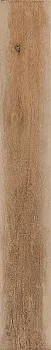 Керамогранит Treverkage Beige MM8X