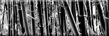 Декор Decor Bambu
