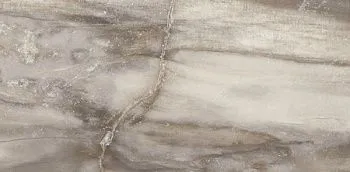 Керамогранит Petrified CORE GREY PANTHER RETT 30
