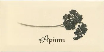 Декор Biselado Decor Crema Apium