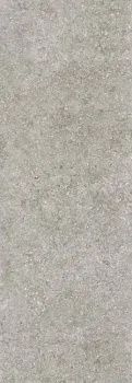Керамогранит Coverlam Blue Stone Gris Natural (78BS31M (50-66)) 100x300x0.56