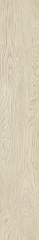 Rev. LEGNO 20 betulla 19.4х120