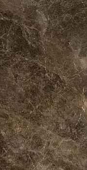 Керамогранит FRAPUCCI.POLLOCK LUC C46M6Y