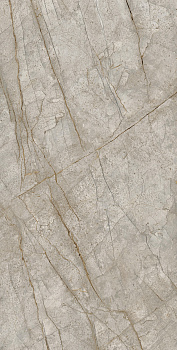 Керамогранит Empire Silver Root Lapp (610015000603) 80х160