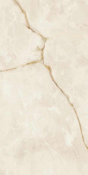 Керамогранит Symphonyx Gold Lapp (610015000633) 80x160 80х160